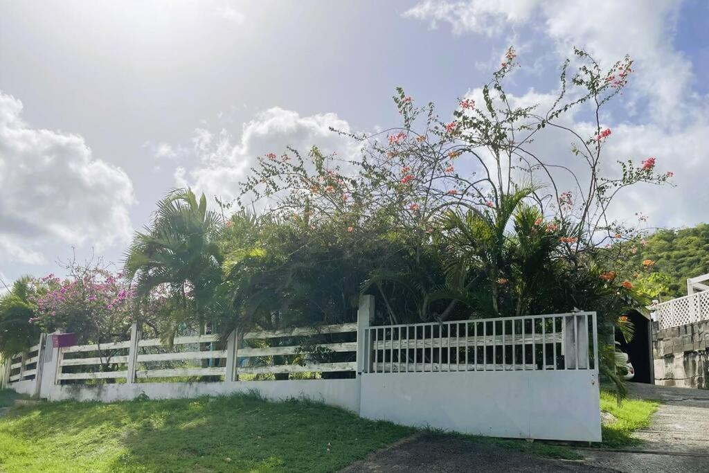 Villa Caraibes Sainte-Luce Exterior photo