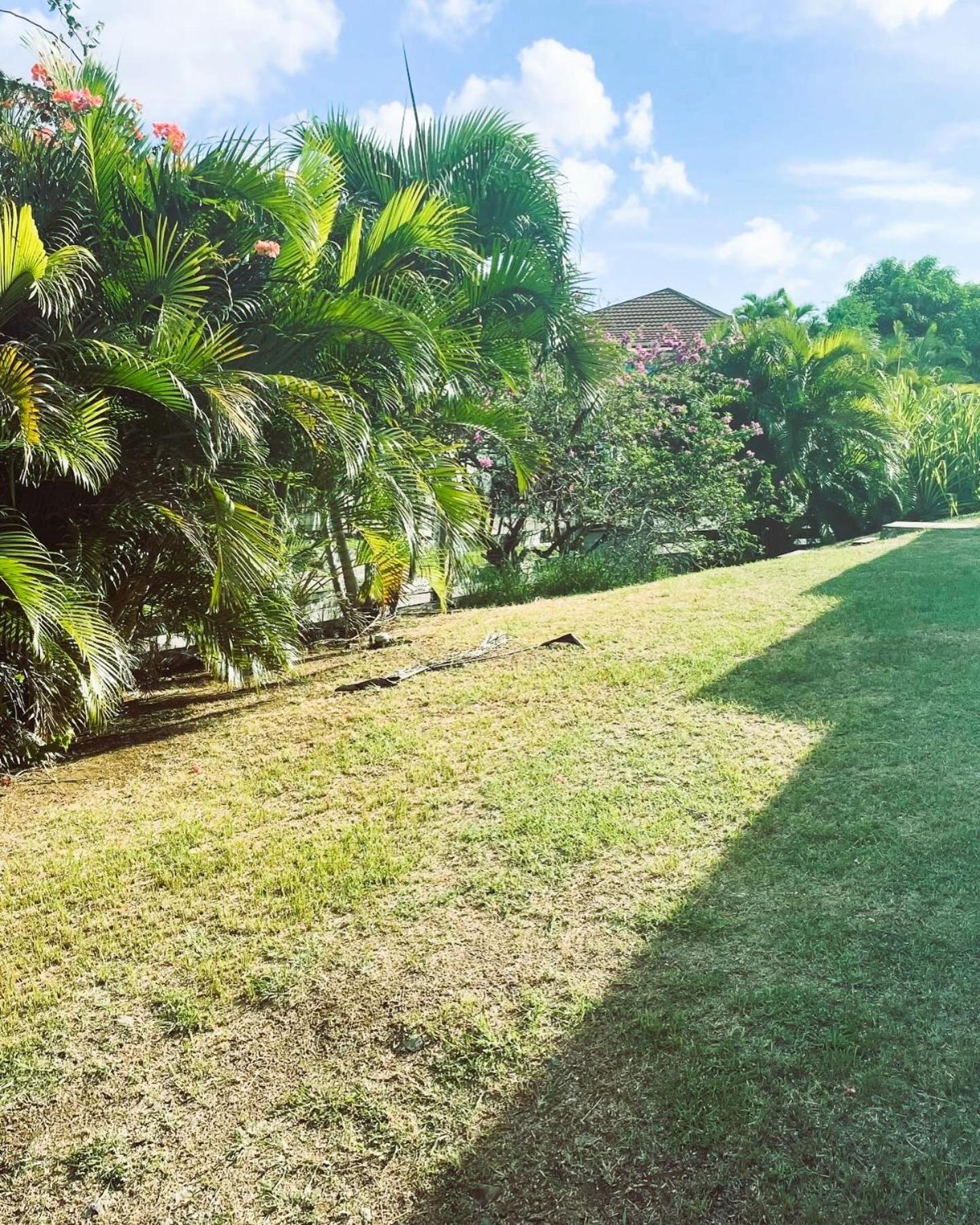 Villa Caraibes Sainte-Luce Exterior photo