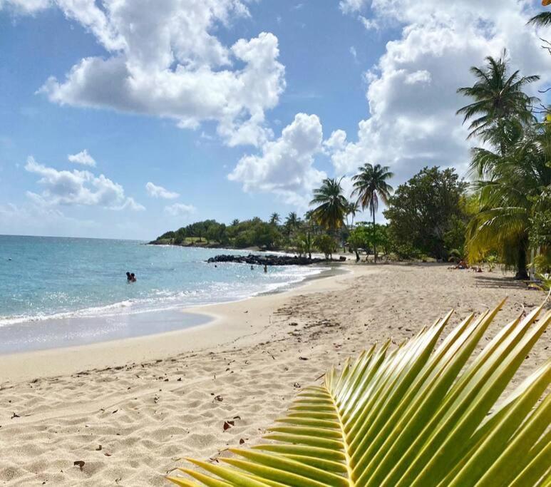 Villa Caraibes Sainte-Luce Exterior photo