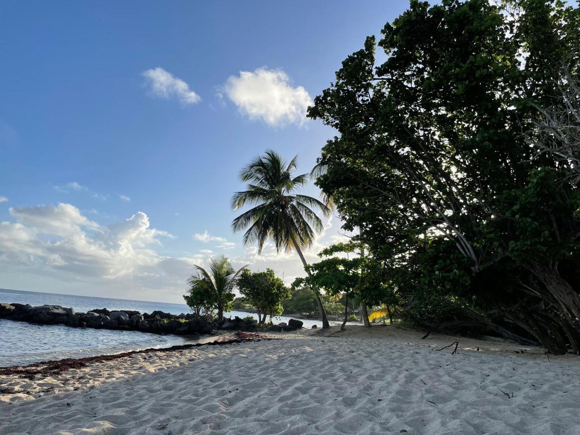 Villa Caraibes Sainte-Luce Exterior photo